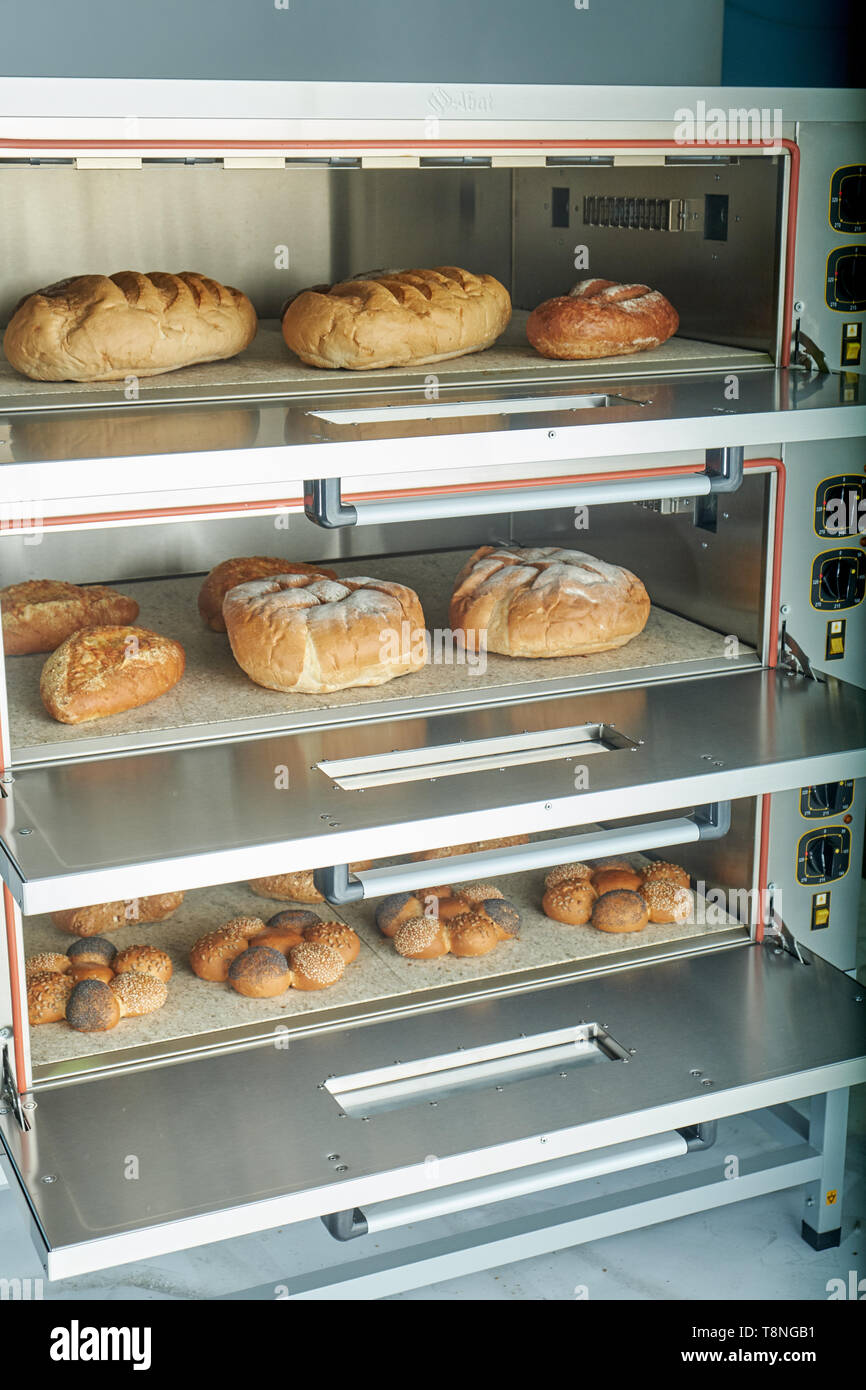 Industrial electric oven for catering with set food. Freshly Baked Bakery Products Stock Photo