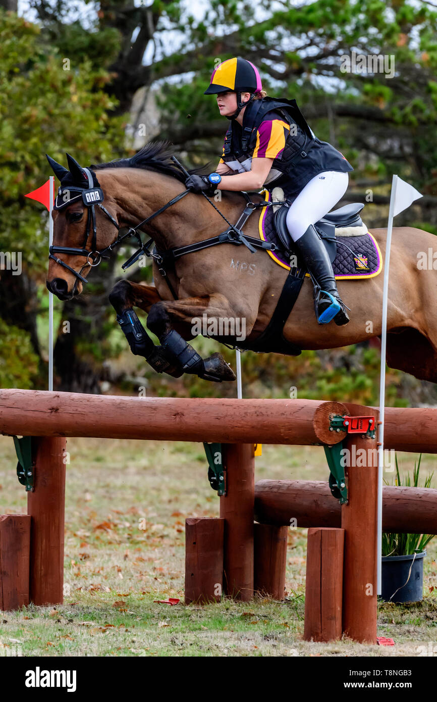 Riders competing at the Marcus Oldham Ballarat International Horse