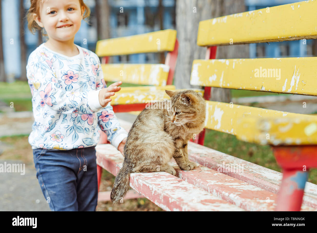 little girl playing with a cat on a Park bench Stock Photo - Alamy