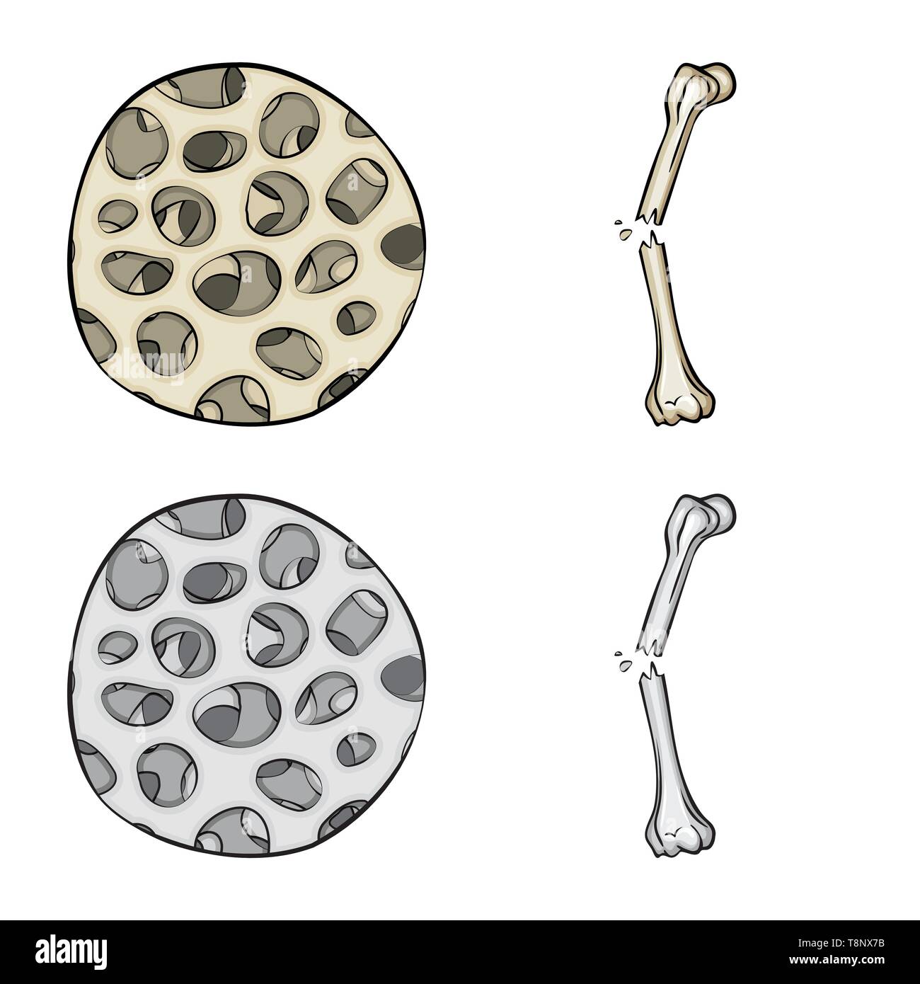 fiber,fracture,healthy,pain,scientific,bias,muscle,injury,epithelium ...