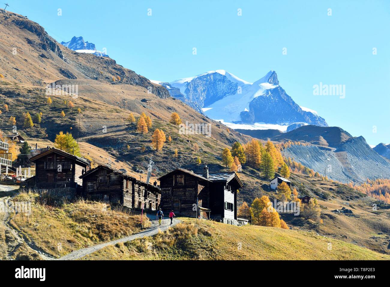 Switzerland, canton of Valais, Zermatt, hamlet Findeln at the foot of the Matterhorn, summit Strahlhorn and Adlerhorn Stock Photo