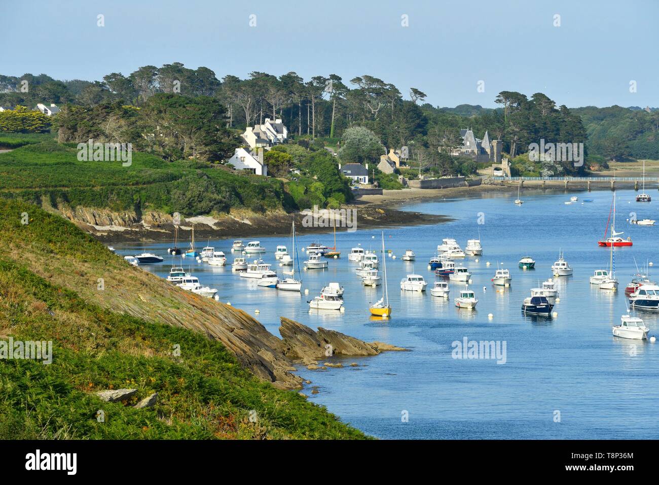 France, Finistere, Iroise see, Armorique Regional natural park, Le