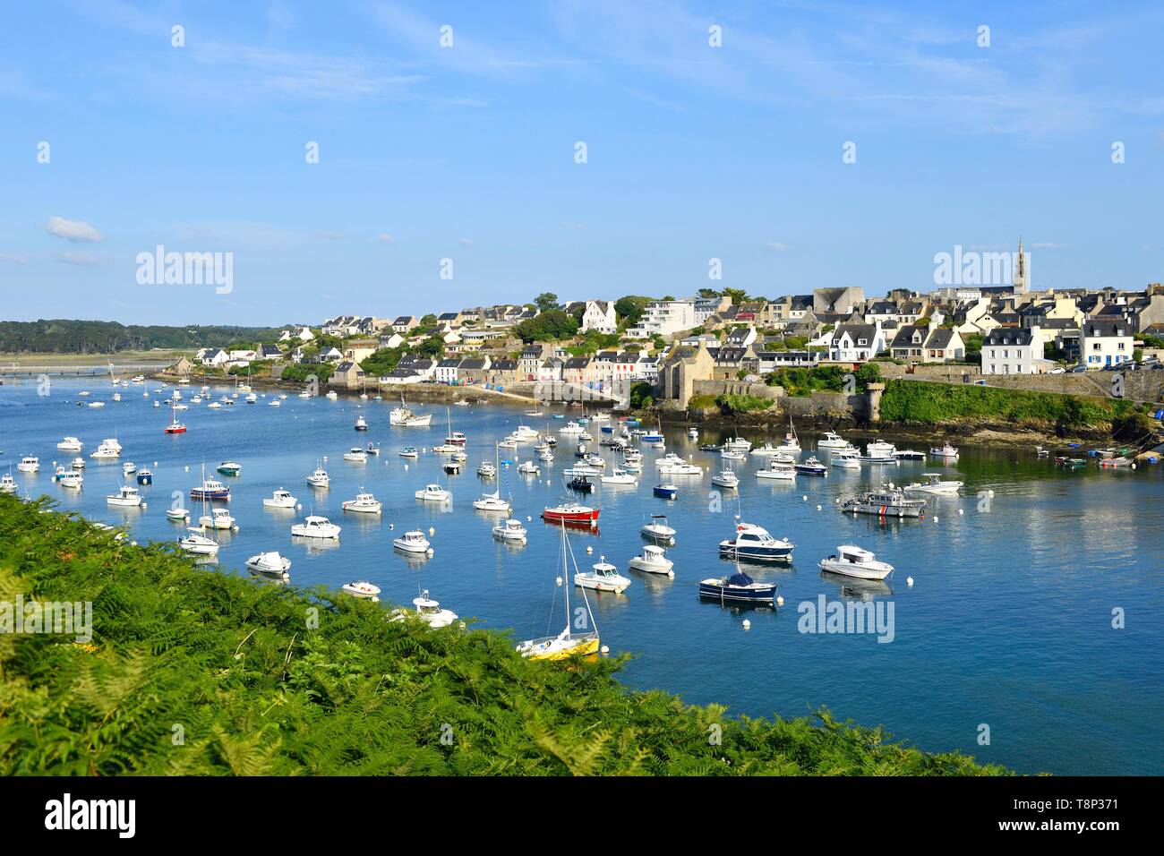 France, Finistere, Iroise see, Armorique Regional natural park, Le