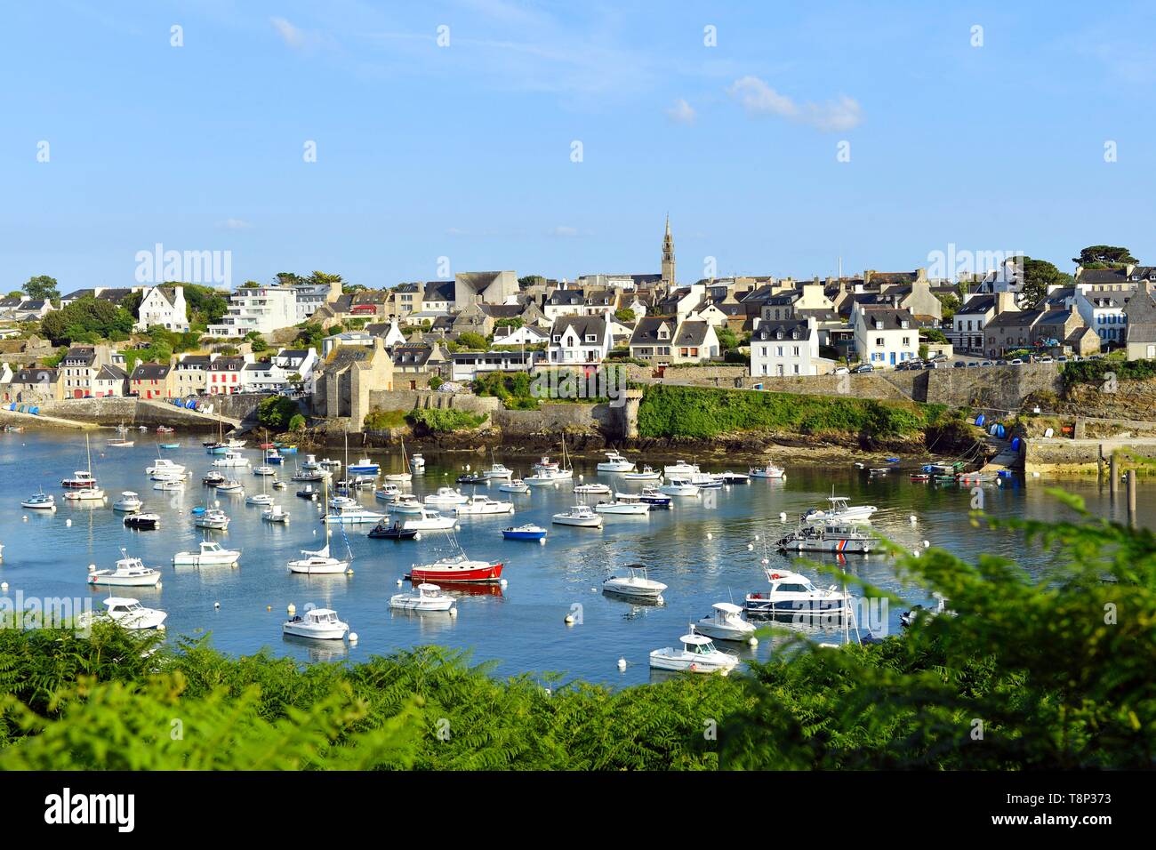 France, Finistere, Iroise see, Armorique Regional natural park, Le