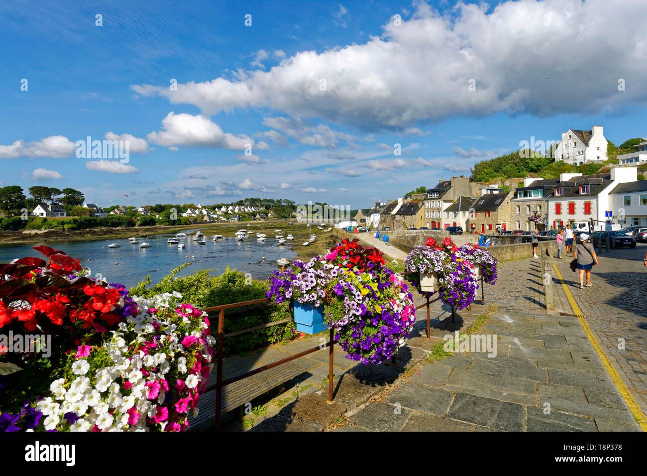 France, Finistere, Iroise see, Armorique Regional natural park, Le
