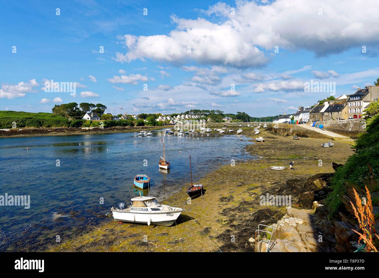 France, Finistere, Iroise see, Armorique Regional natural park, Le