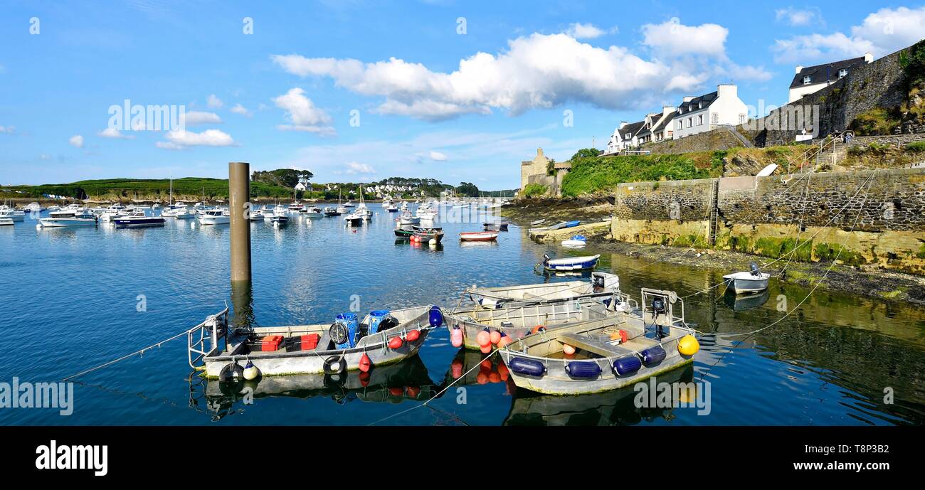 France, Finistere, Iroise see, Armorique Regional natural park, Le