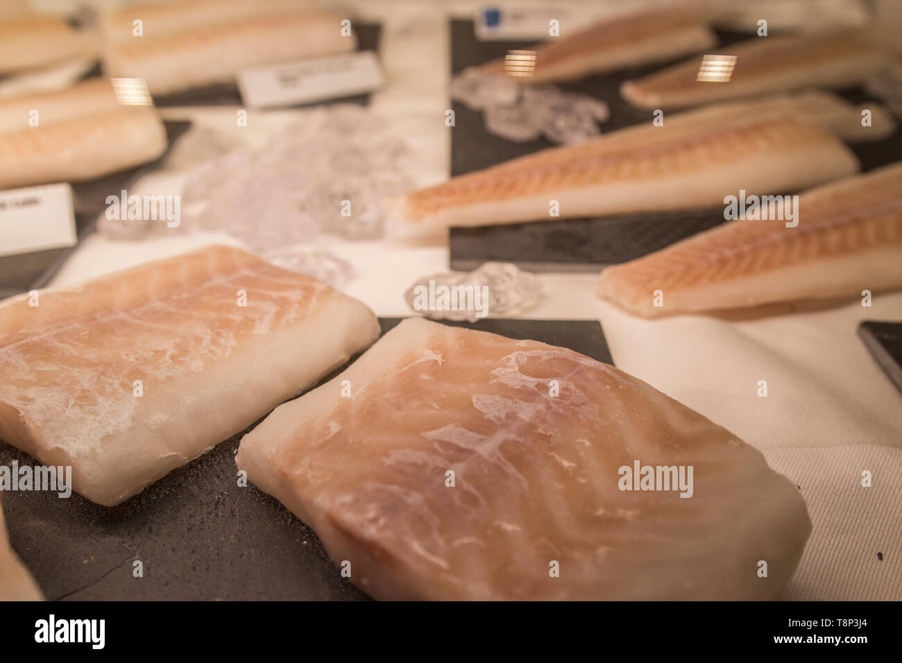 Seafood and industrial equipment for the fishing industry Stock Photo