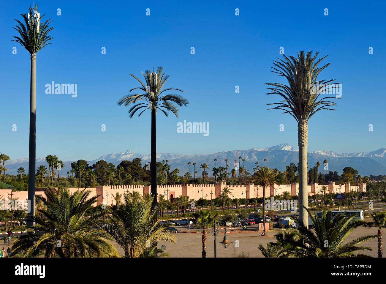 Morocco, High Atlas, Marrakech, Imperial city, Medina listed as World Heritage by UNESCO, the ramparts of the city and the snow-covered Atlas in the background, three cell phone relay antennas concealed in fake palm trees Stock Photo