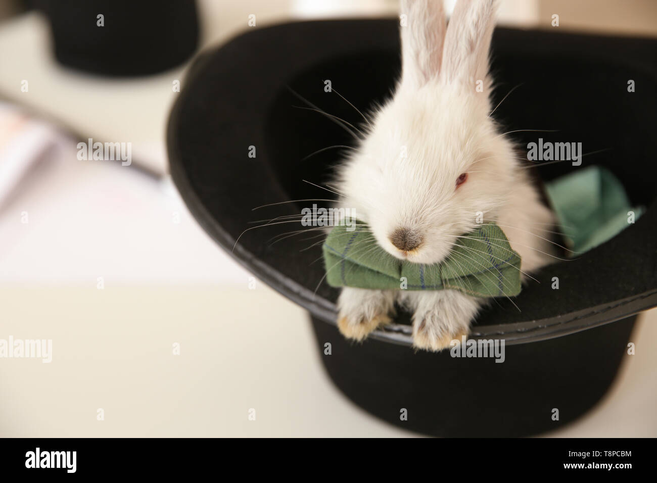 Magician hat with cute fluffy rabbit on table Stock Photo