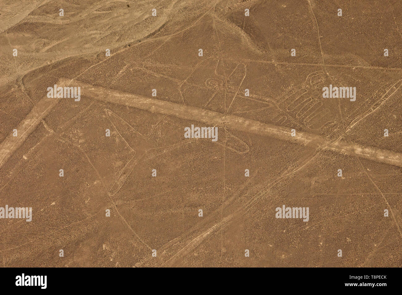 Nazca lines in Peru from an airplane Stock Photo
