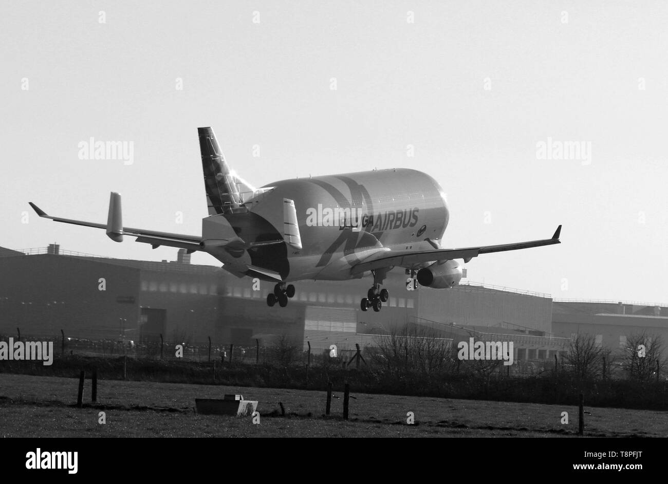 An Airbus Beluga Black And White Stock Photos & Images - Alamy