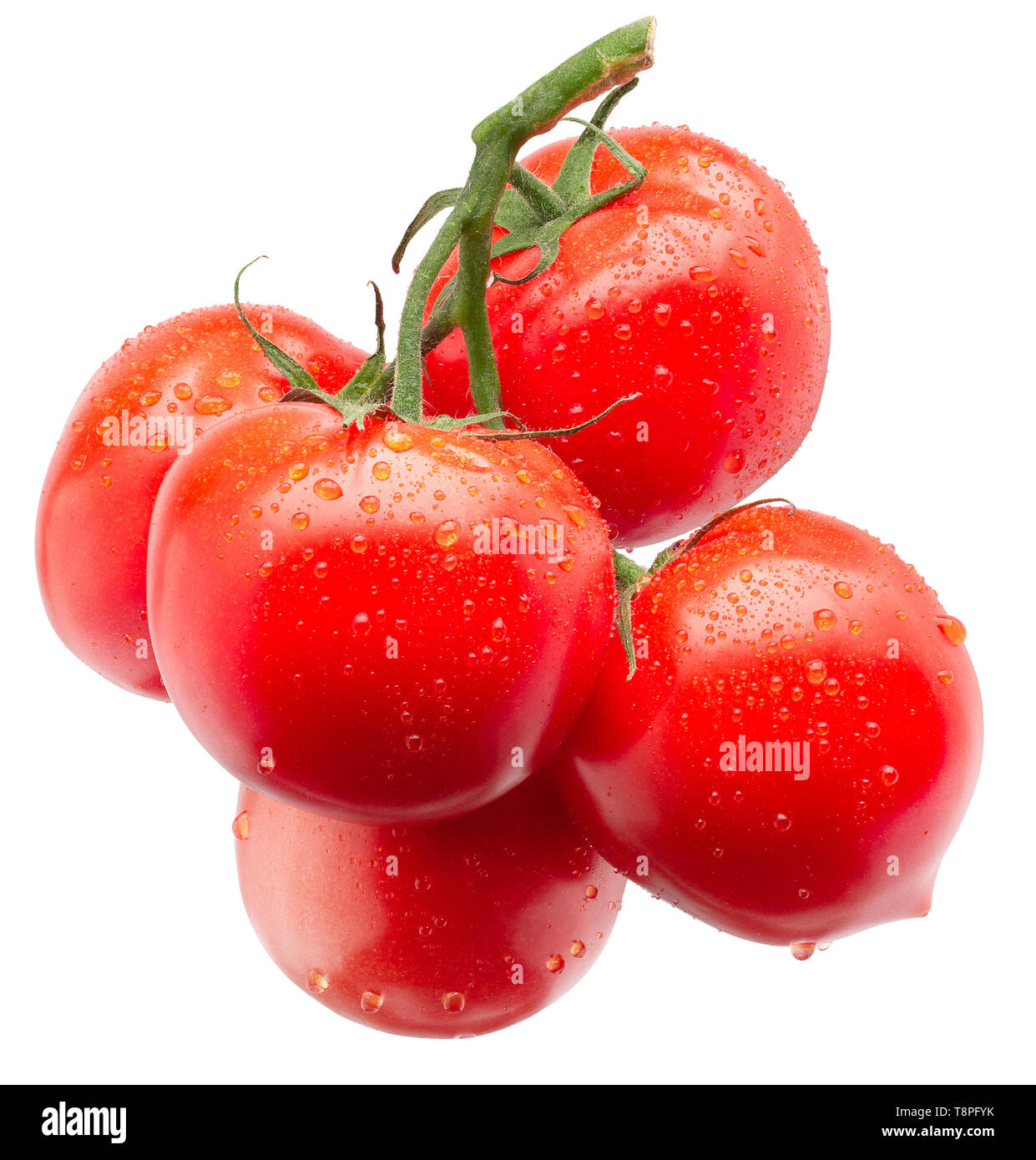 red tomatoes with water drops isolated on a white background Stock ...