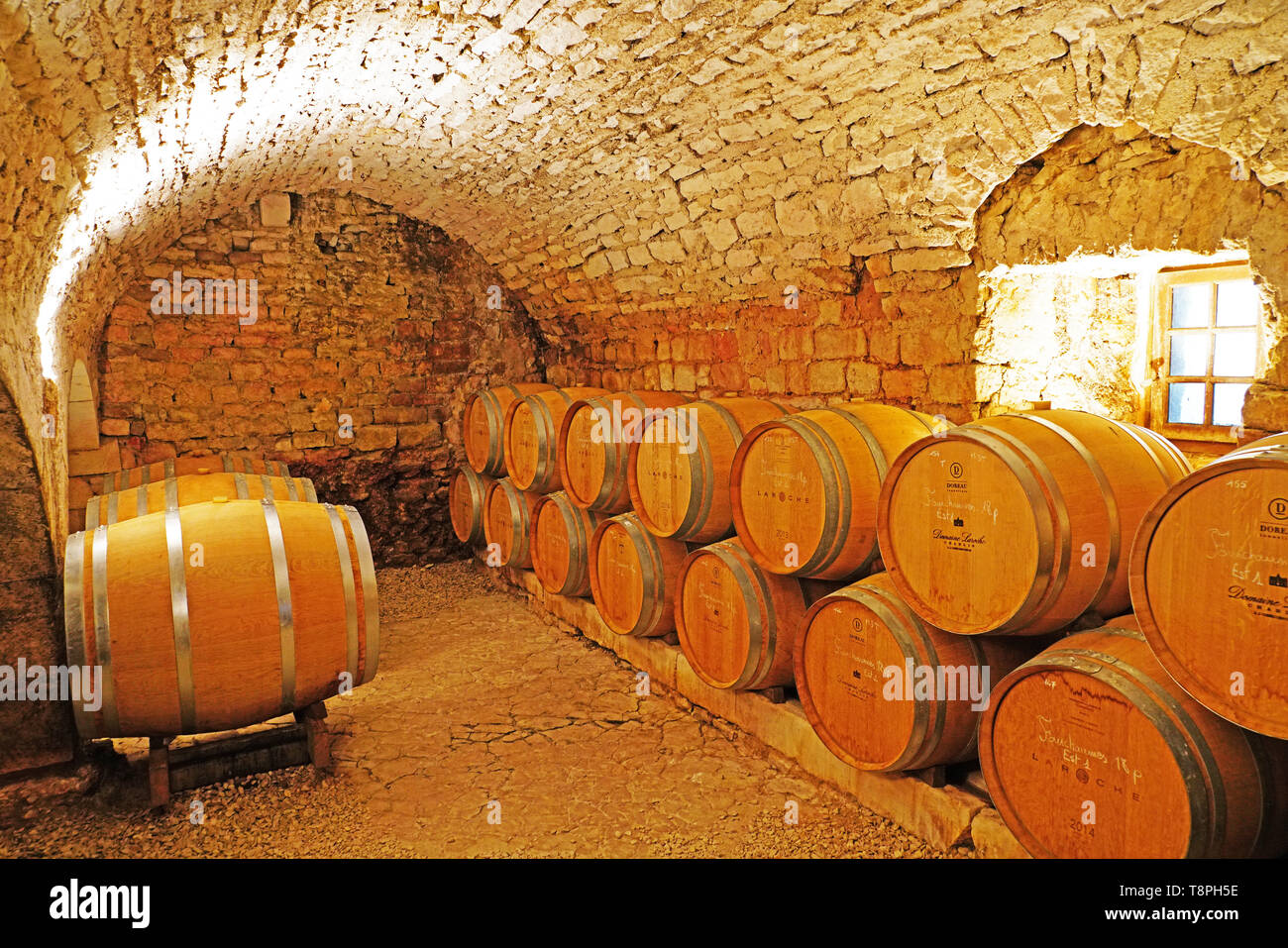 Oak Barrels in cellar of Domaine Larouche winery Stock Photo