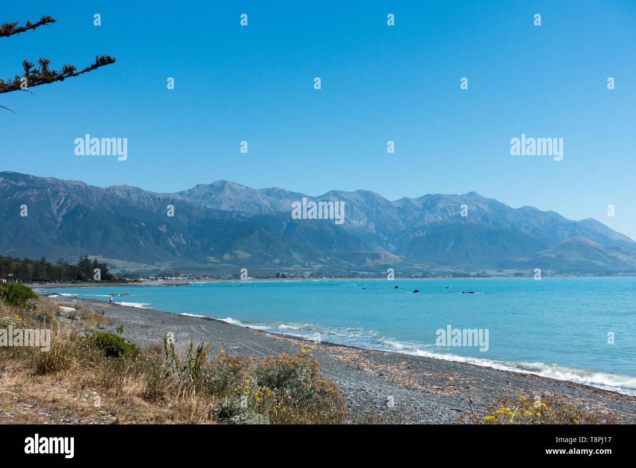 Kaikoura is a coastal town on New Zealand's South Island famous for wildlife and the Peninsular