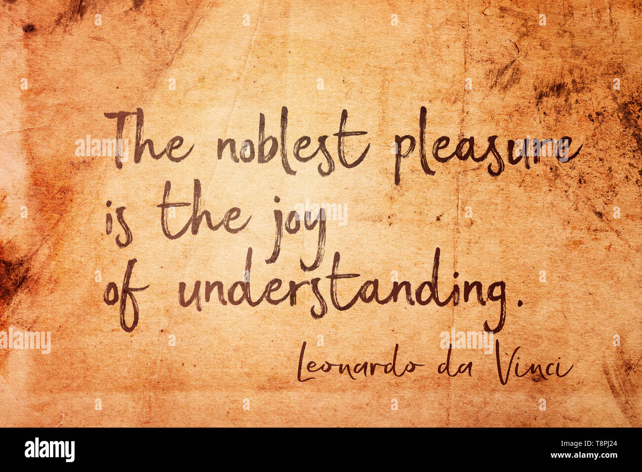 The noblest pleasure is the joy of understanding - ancient Italian artist Leonardo da Vinci quote printed on vintage grunge paper Stock Photo