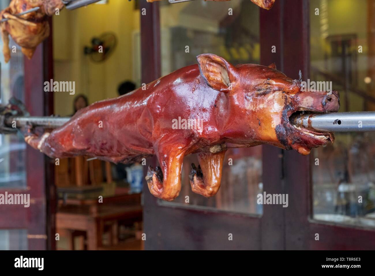 Vietnam, Lao Cai province, Sa Pa town, pig lacquered on a brooch Stock Photo