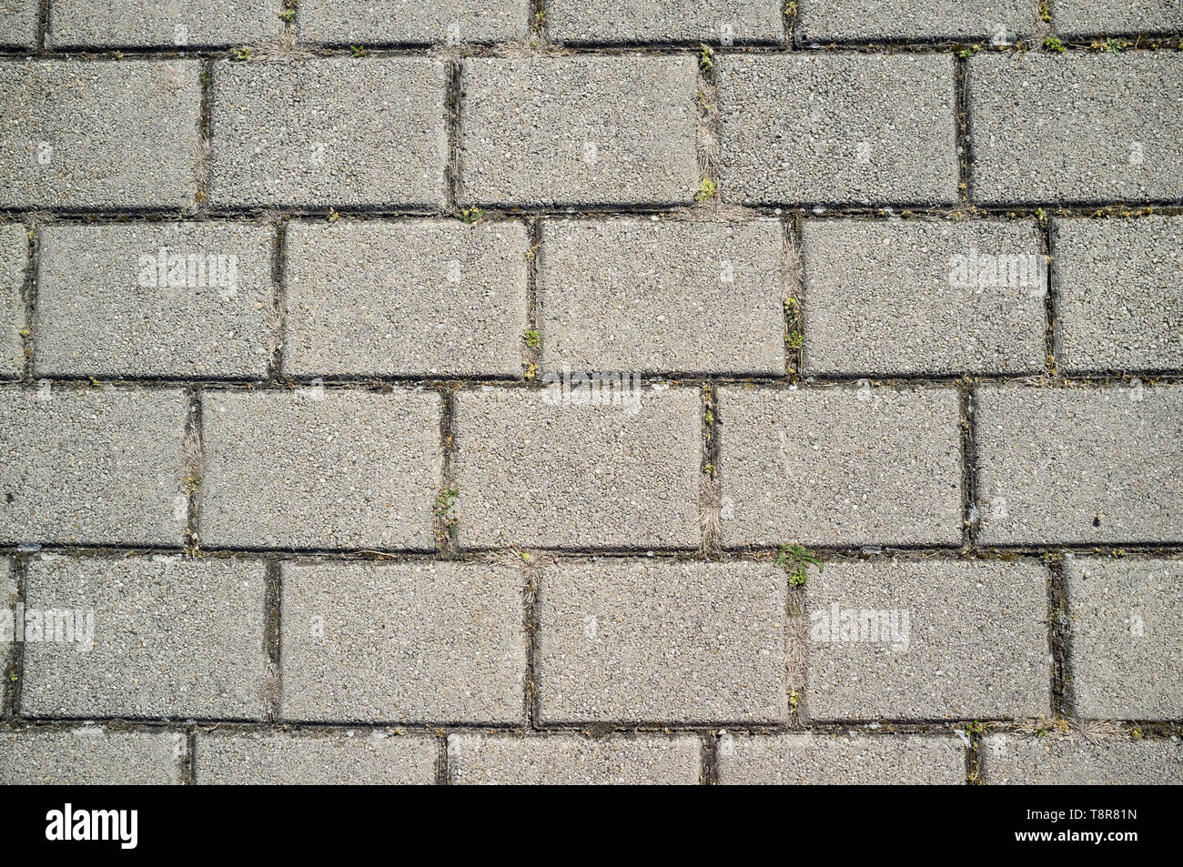 Texture of Concrete Paving Detail with Grass Growing from Cracks Stock Photo