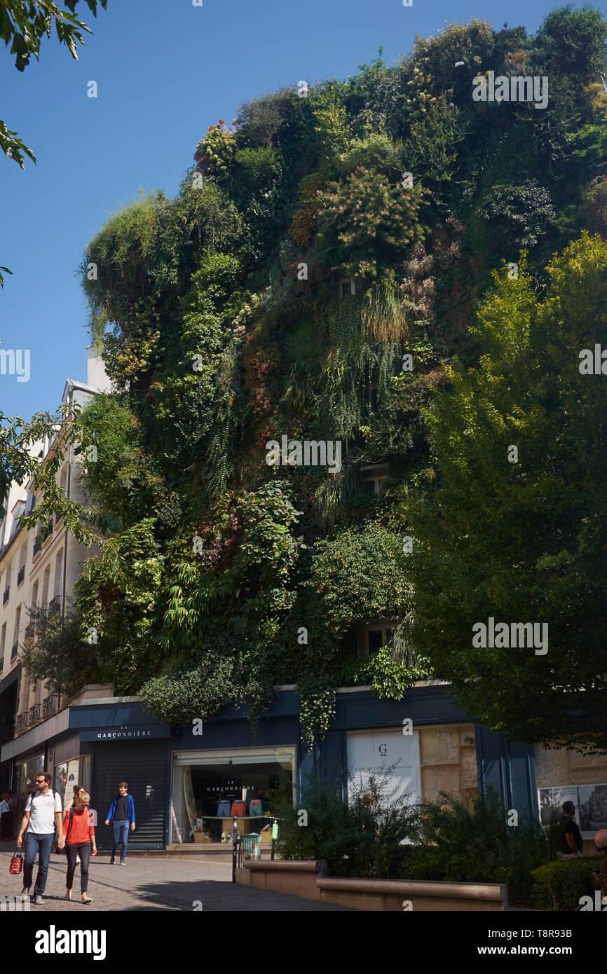 France, Paris, Oasis of Aboukir, plant wall of 250 m2 realized by the botanist and landscape Patrick Blanc at the corner of the street of Aboukir and the Petits Carreaux street Stock Photo