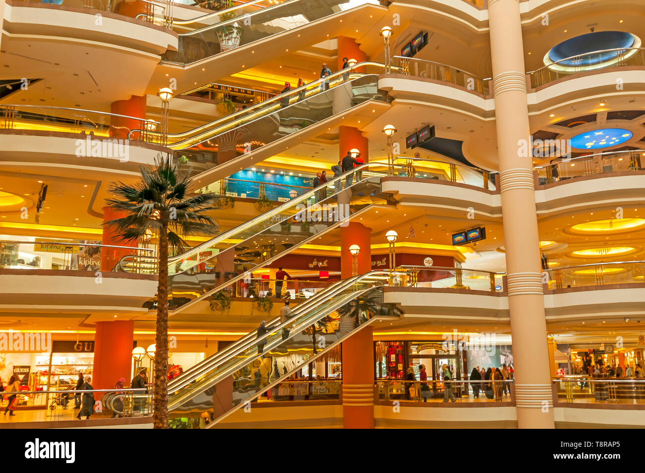 Atrium of City Stars Mall Heliopolis showing multilevels, elevators and palm tree indoors