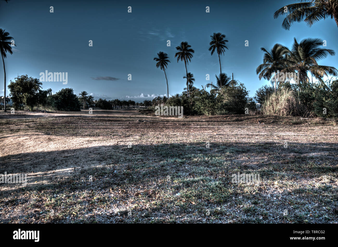 Abandoned golf course in Dorado Del Mar Puerto Rico Stock Photo Alamy Abandoned golf course in Dorado Del Mar Puerto Rico Stock Photo Alamy