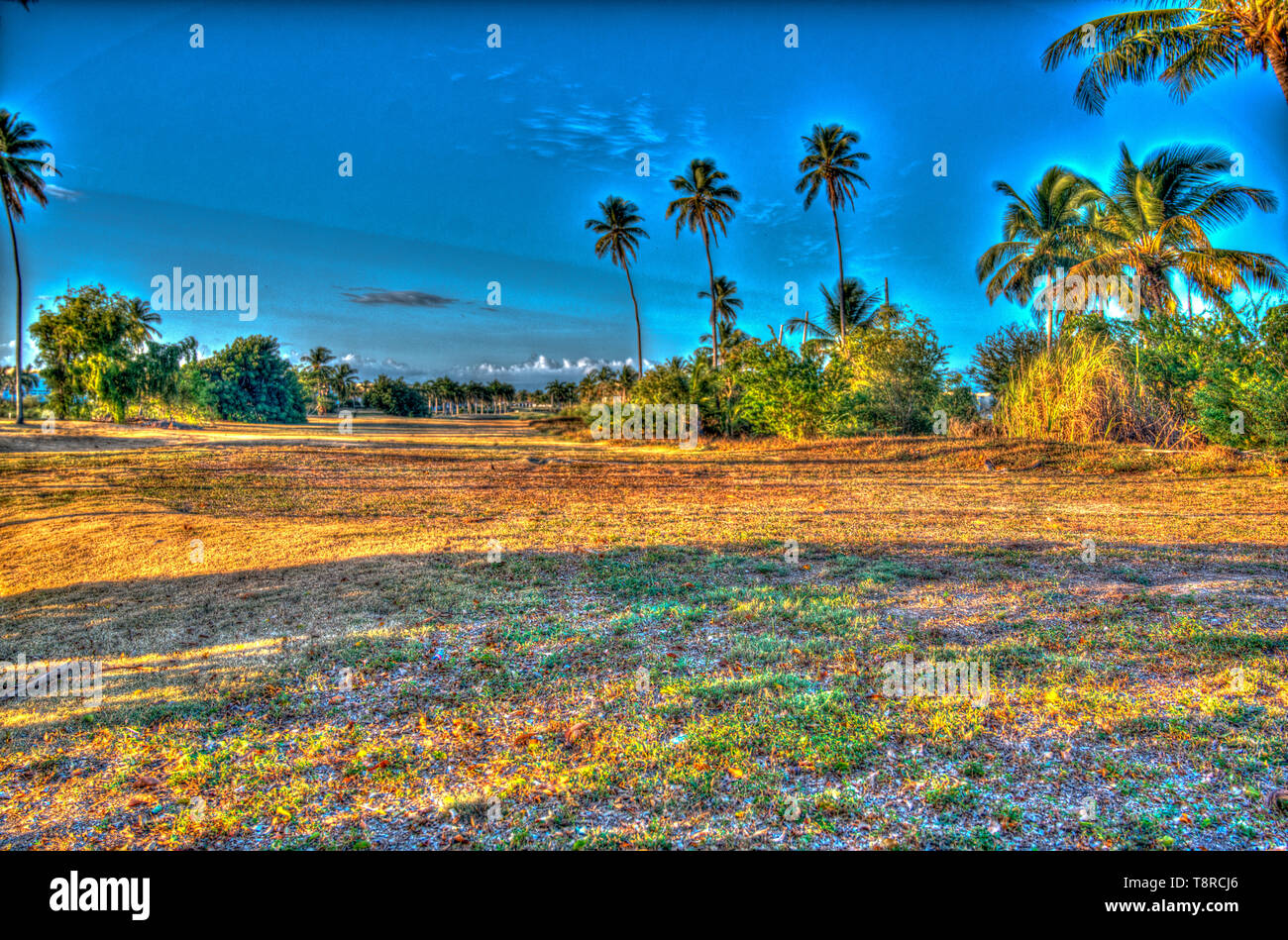 Abandoned golf course in Dorado Del Mar, Puerto Rico Stock Photo Alamy