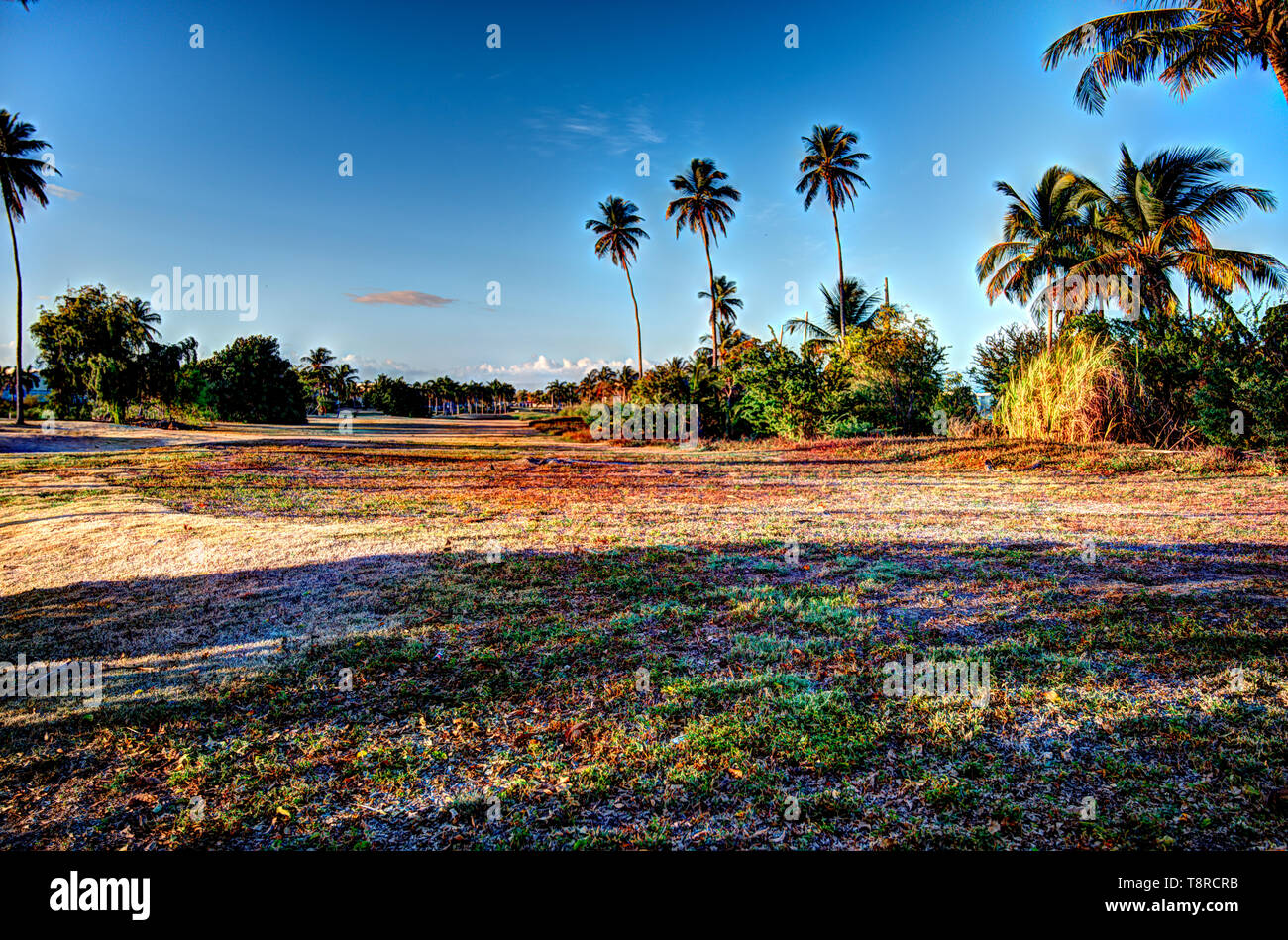 Abandoned golf course in Dorado Del Mar Puerto Rico Stock Photo Alamy Abandoned golf course in Dorado Del Mar Puerto Rico Stock Photo Alamy