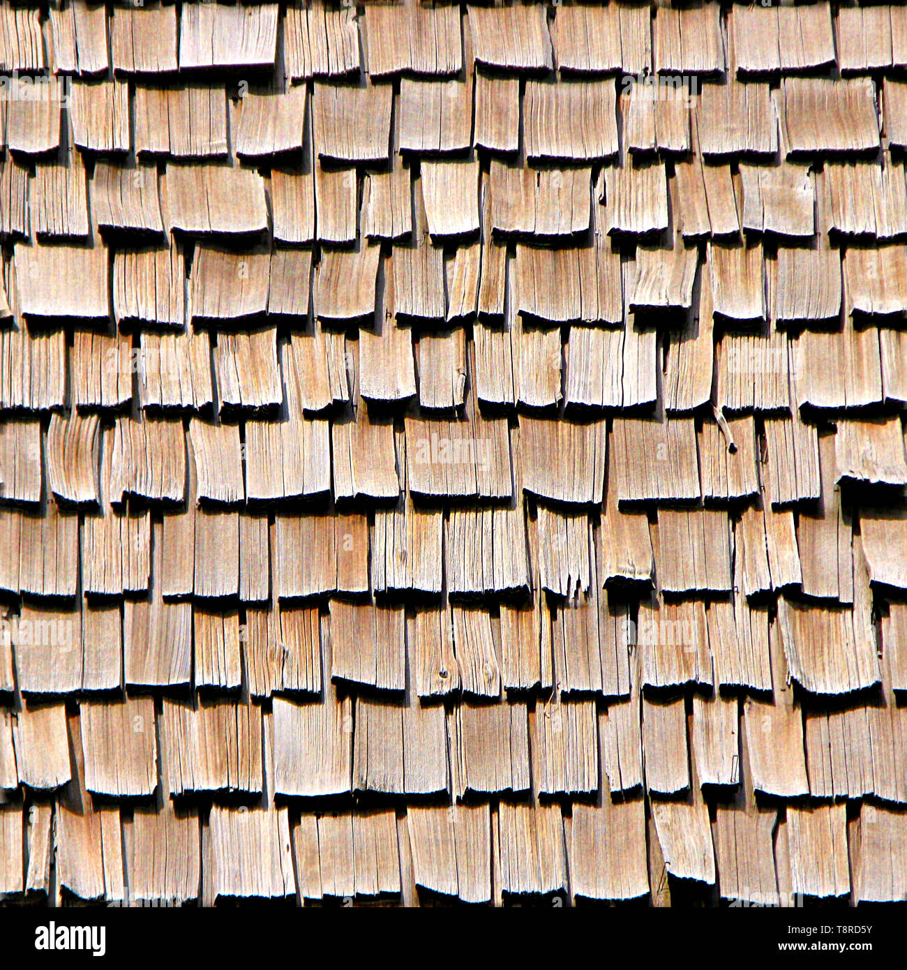 Cedar Shake Wood Shingles Roof Seamless Texture Tile Stock Photo