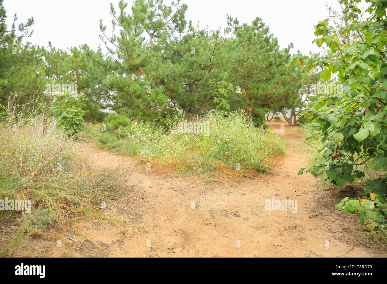 Crossways road hires stock photography and images Alamy