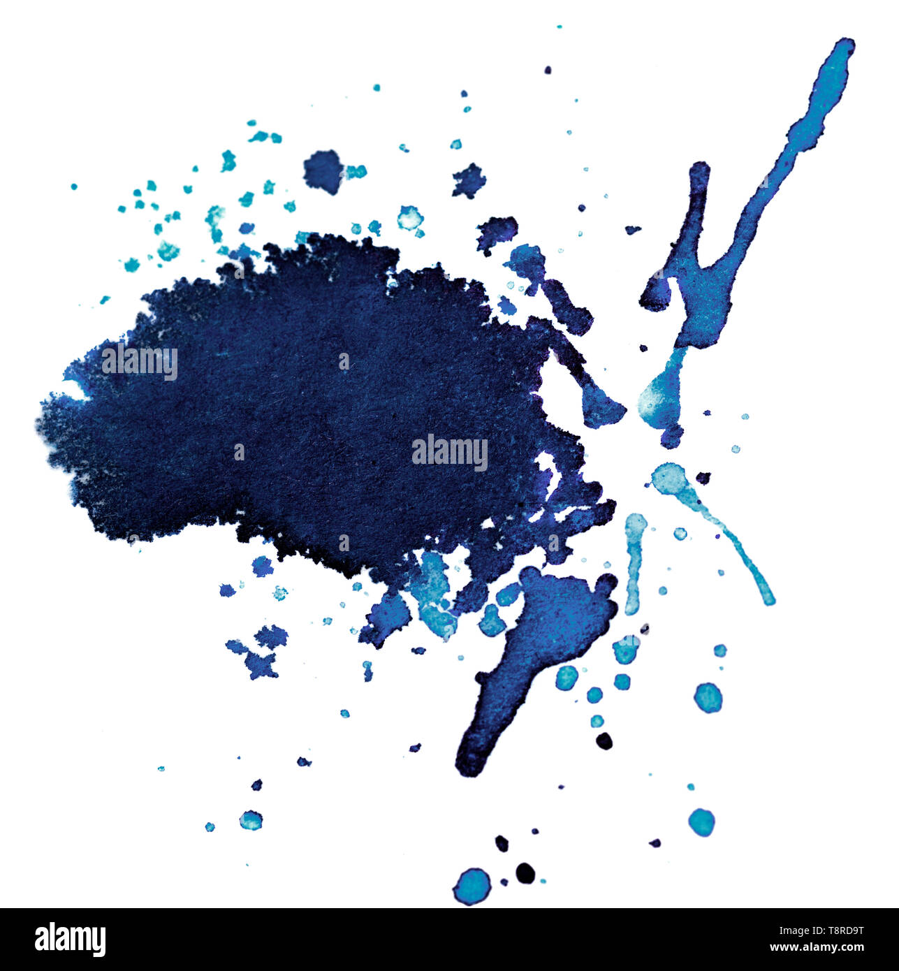 Ink Droplet Closeup Isolated on White Background Stock Photo Alamy