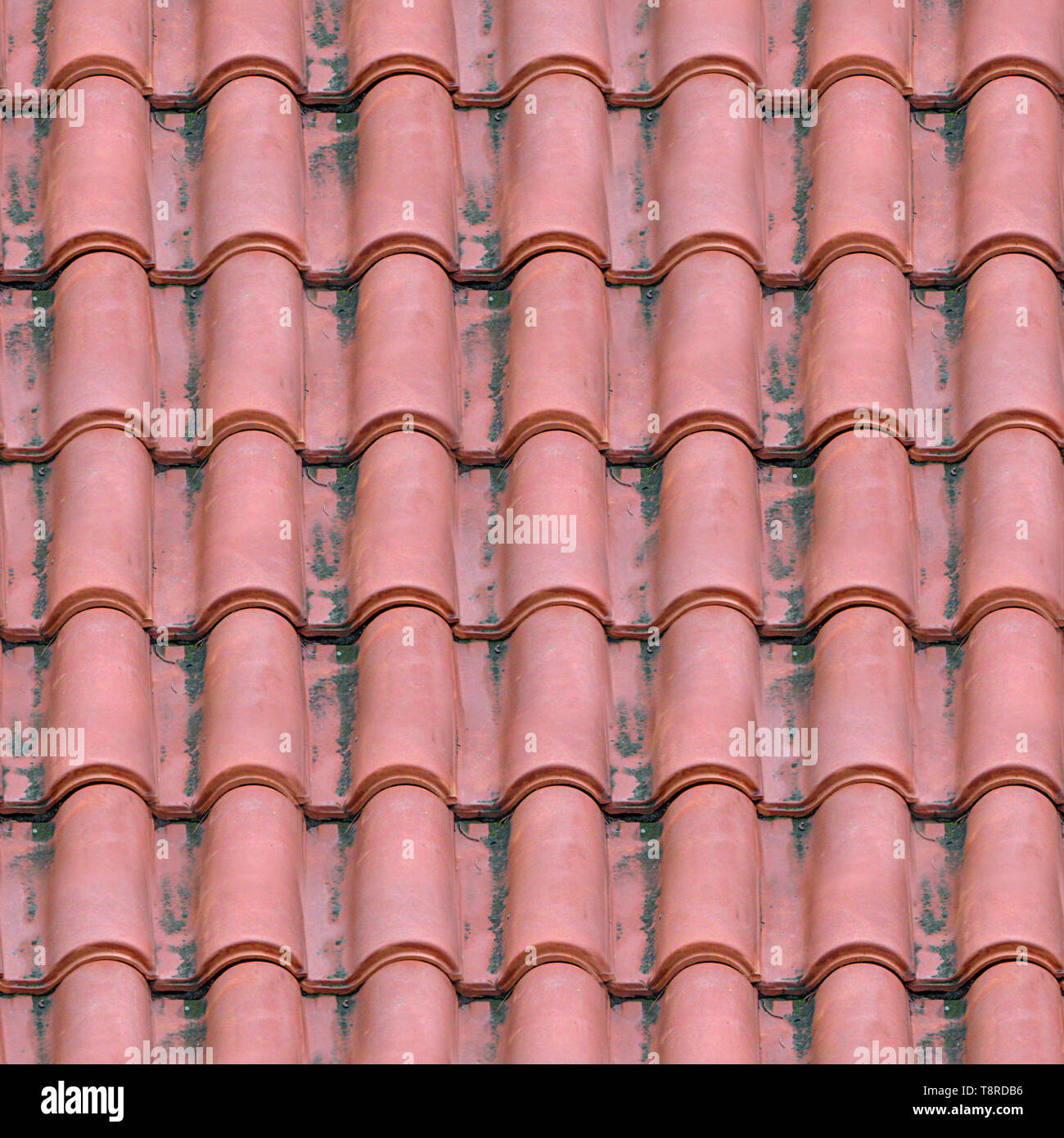 Spanish Tile Roofing Seamless Texture Tile Stock Photo