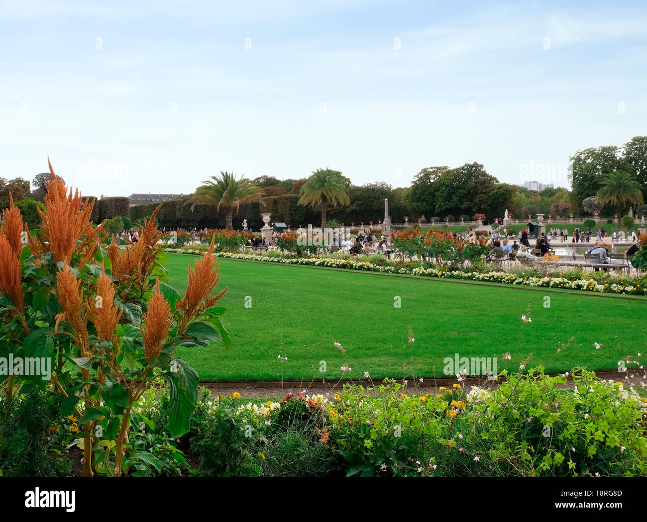 Beautiful green lawn in city park Stock Photo - Alamy