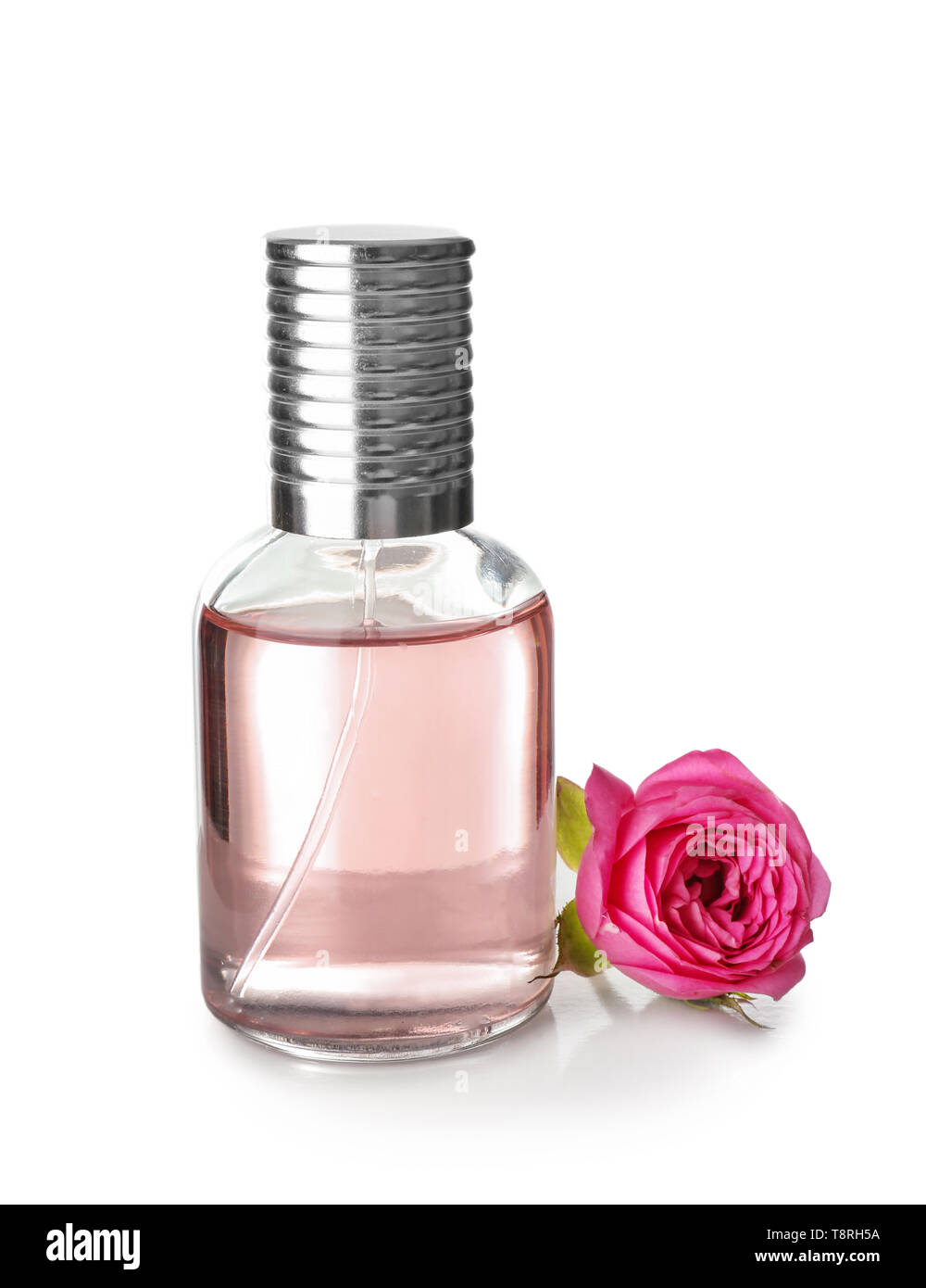Download Transparent Bottle Of Perfume With Rose Flower On White Background Stock Photo Alamy
