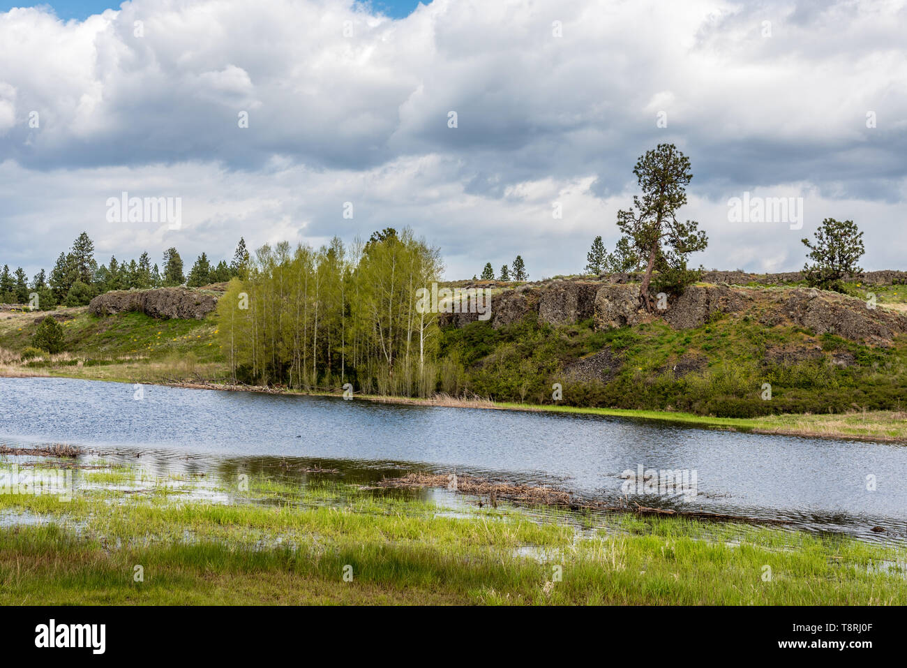 Farm Pond At Fishtrap Recreation Area Stock Photo