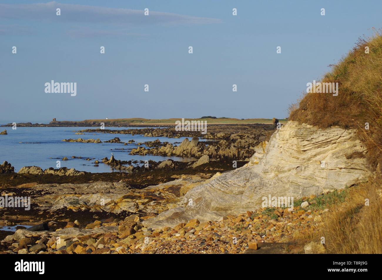 Lady Janet Anstruther's Tower and Carboniferous Sandstone Geology ...