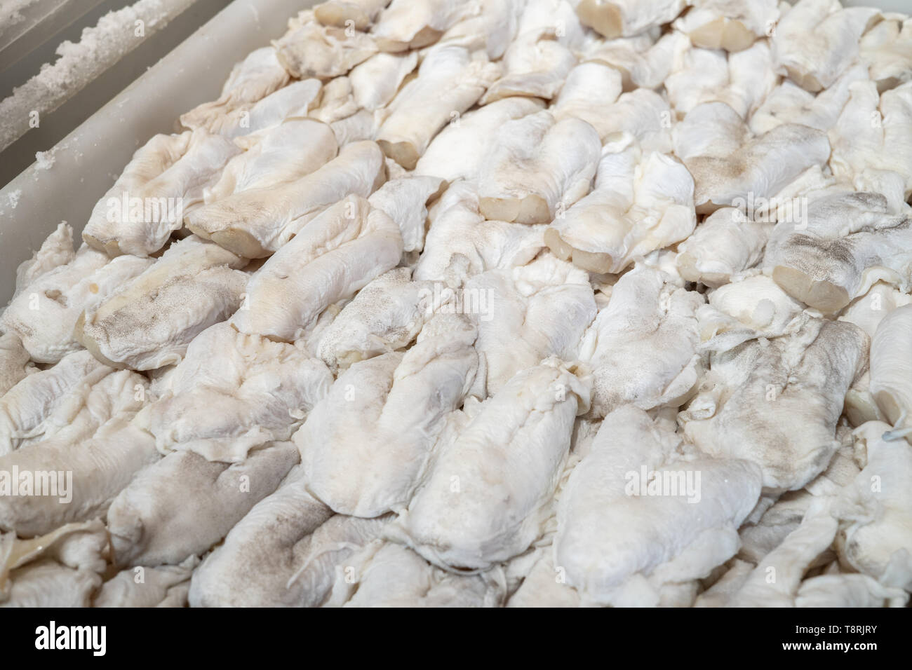 Dried salted cod cocochascodfish at farmers market. Santiago de