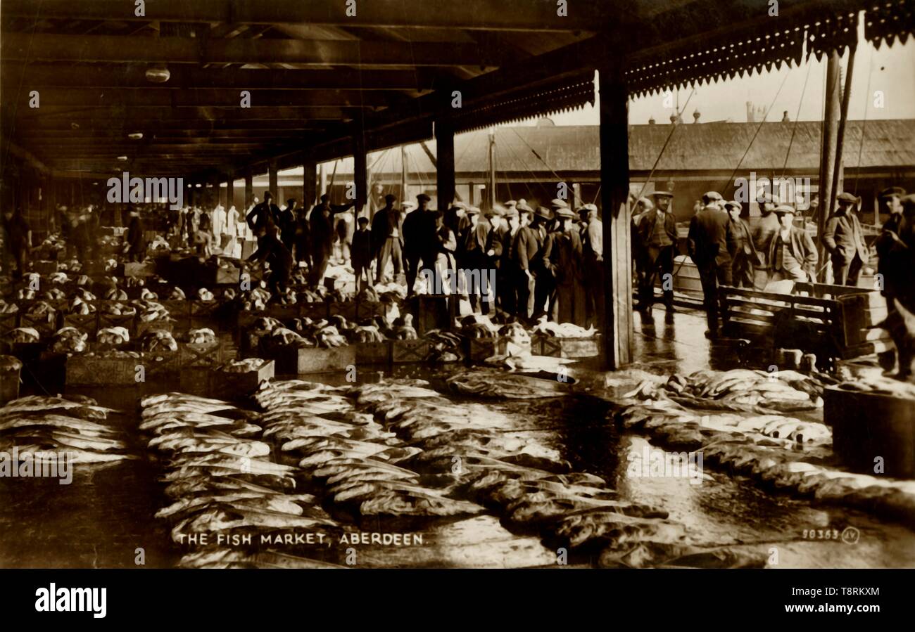Aberdeen fish market hires stock photography and images Alamy