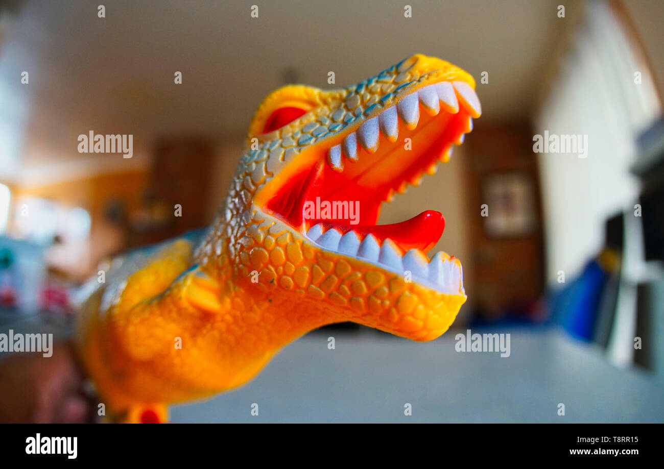 Montreal, Canada,May 13, 2019 Close-up of a plastic dinosaur. Montreal,Quebec,Canada.Credit:Mario Beauregard/17�Թ����� Live News Stock Photo