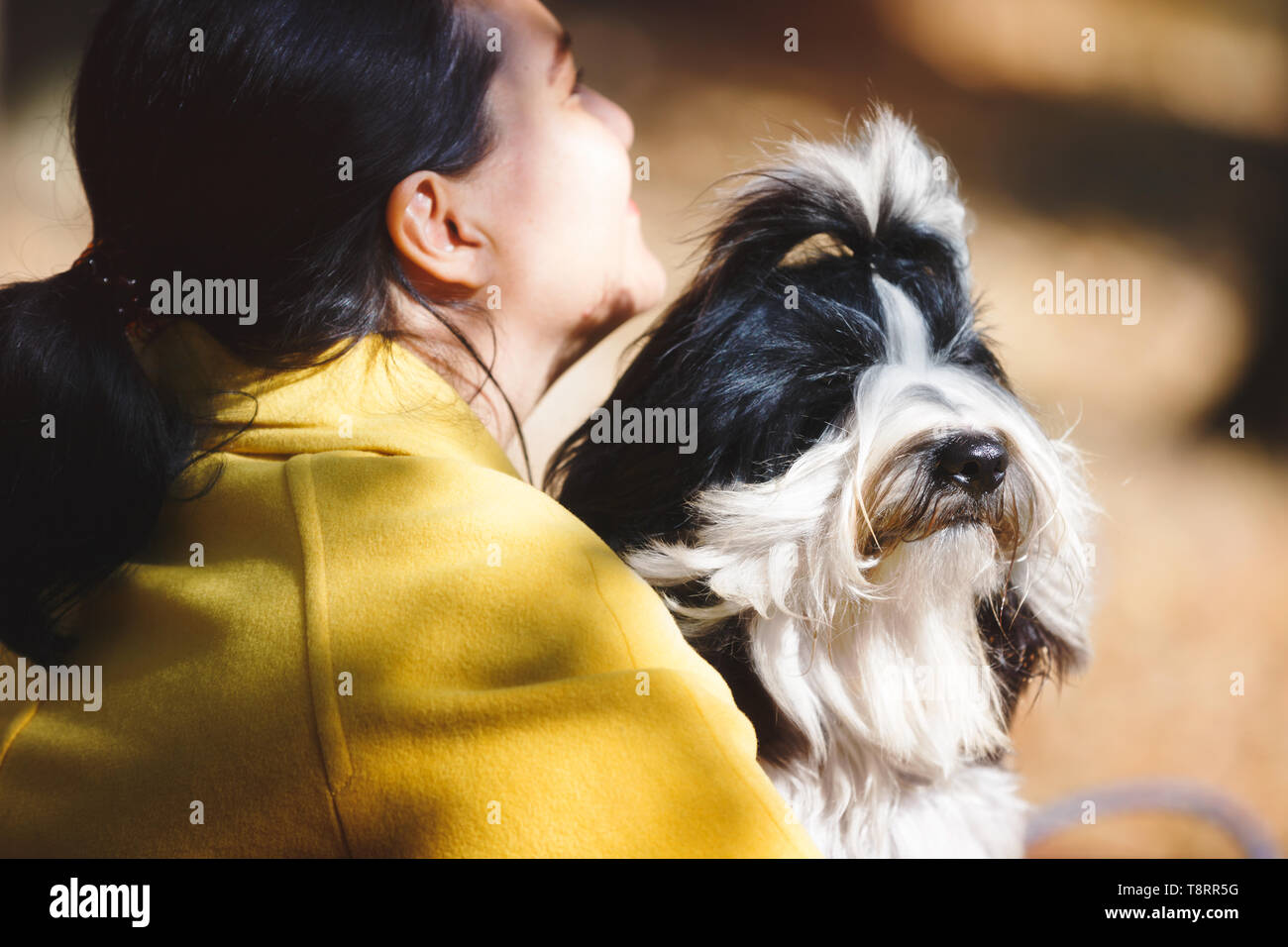 Woman and dog.  Woman with her white and black Tibetan terrier dog  sitting on park bench, close up Stock Photo