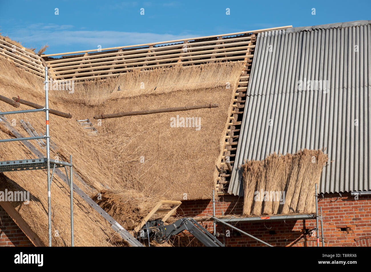 an old farmhouse is newly covered with reed Stock Photo - Alamy