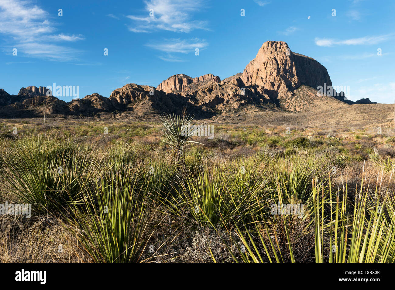 Moon over part of Chisos Mountain Range located within Big Bend