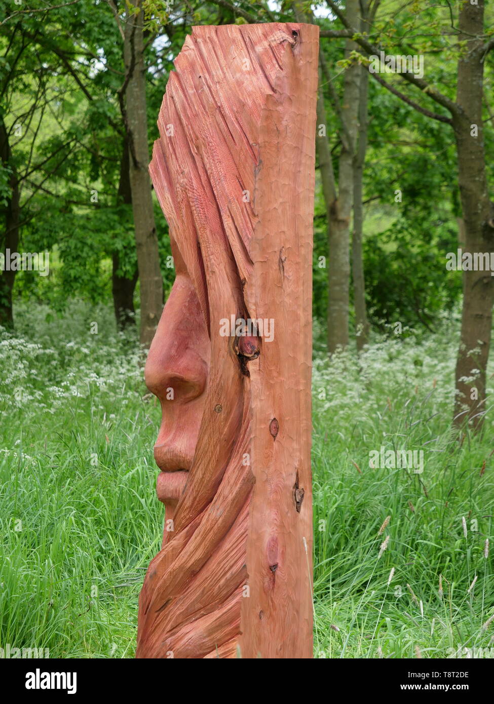 Simon O' Rourke Face Sculpture II Stock Photo