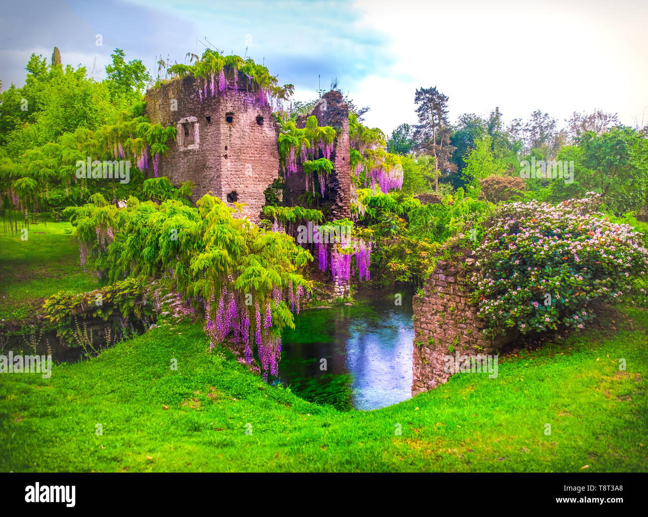 wisteria flowers in fairy garden of ninfa in Italy - medieval tower ruin surrounded by river Stock Photo