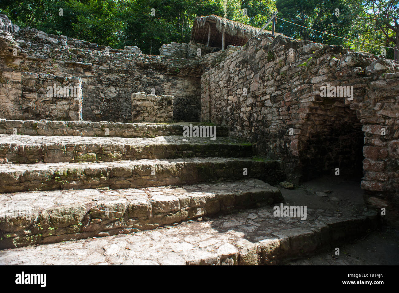 Mayan ruins of Coba. Yucatan. Mexico Stock Photo