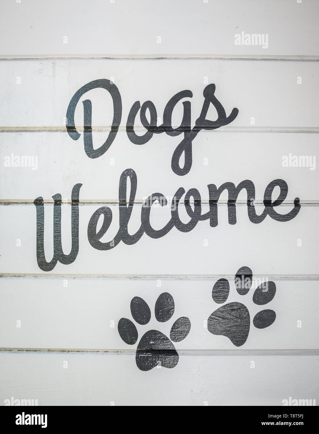 Retro Vintage Style Dogs Welcome Sign On A Wooden Wall Of A Cafe Or Restaurant Or Hotel Stock Photo