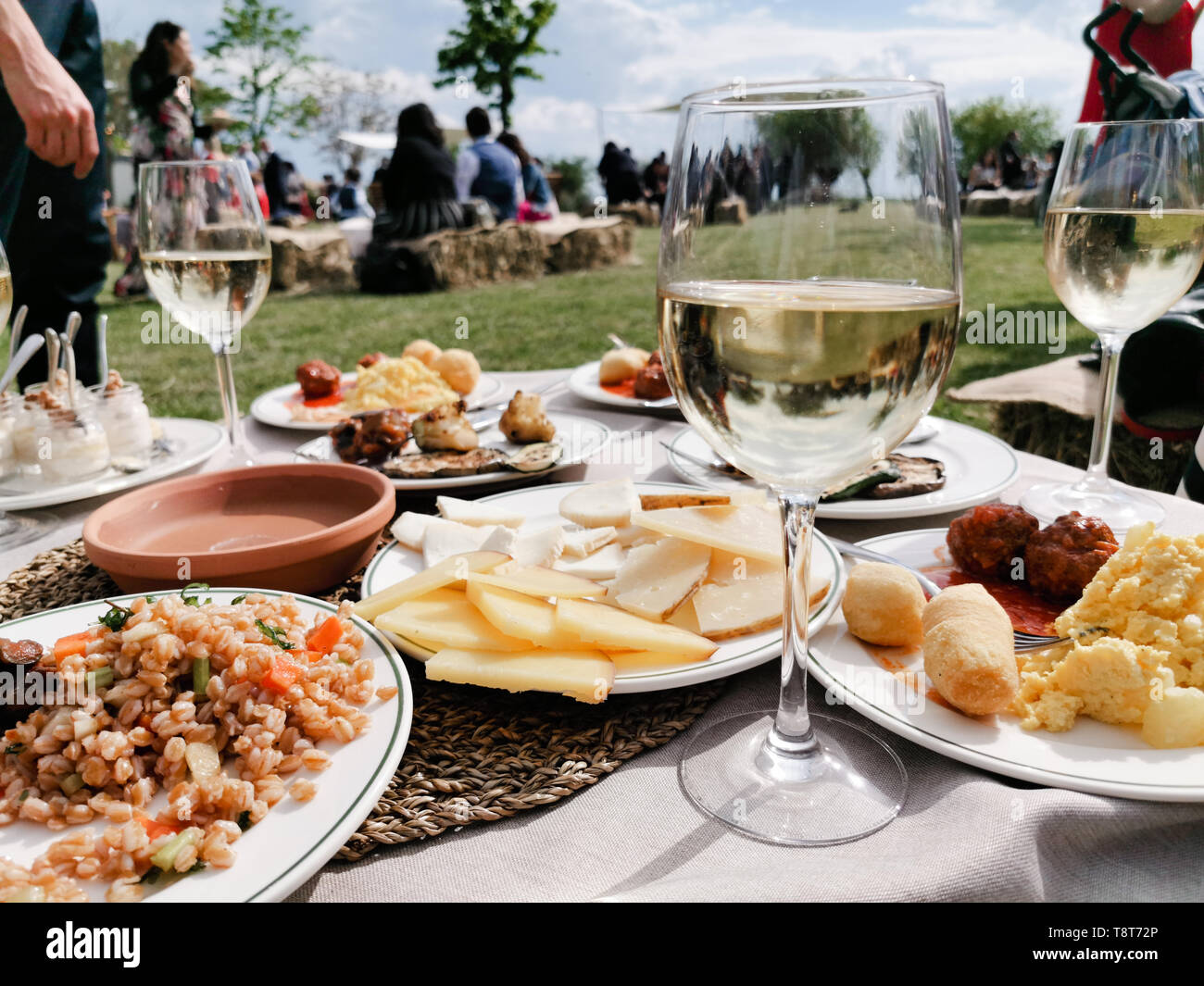 aperitif with white wine on a meadown in the countryside, cold cutt and