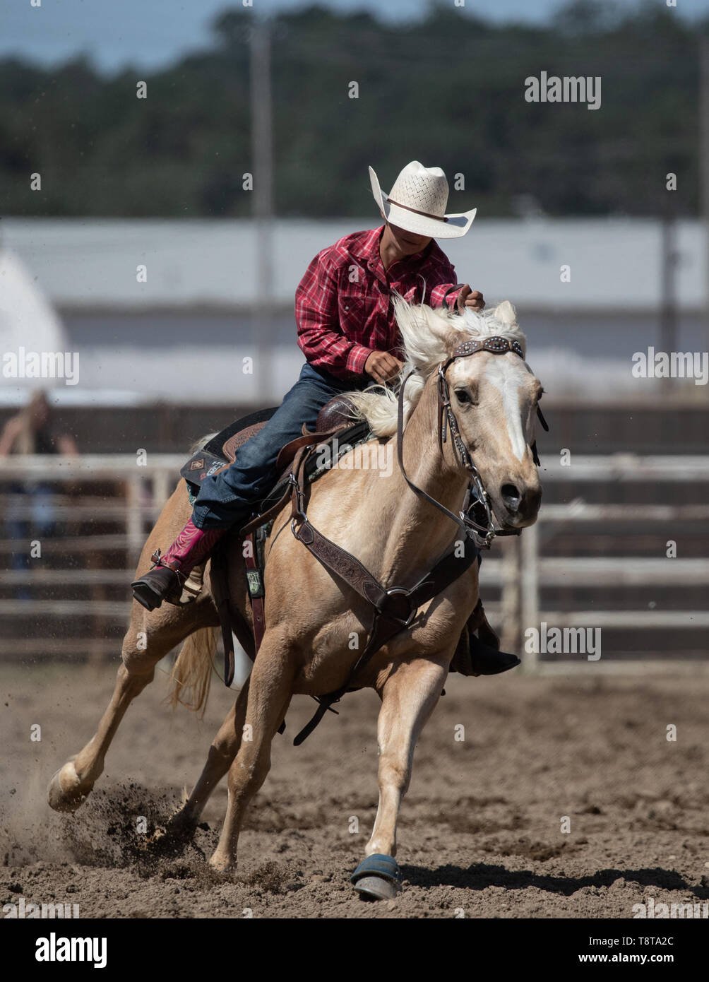 Cottonwood Rodeo at Jerry Webster blog