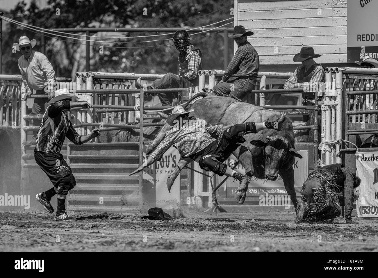 Rodeo action at the Cottonwood Rodeo in Northern California Stock Photo