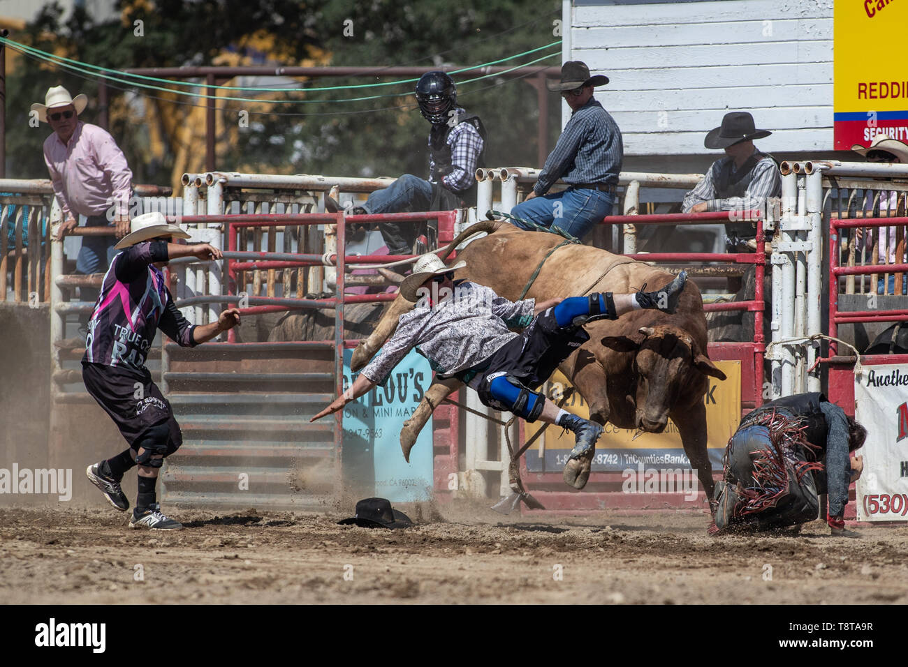 Rodeo action at the Cottonwood Rodeo in Northern California Stock Photo