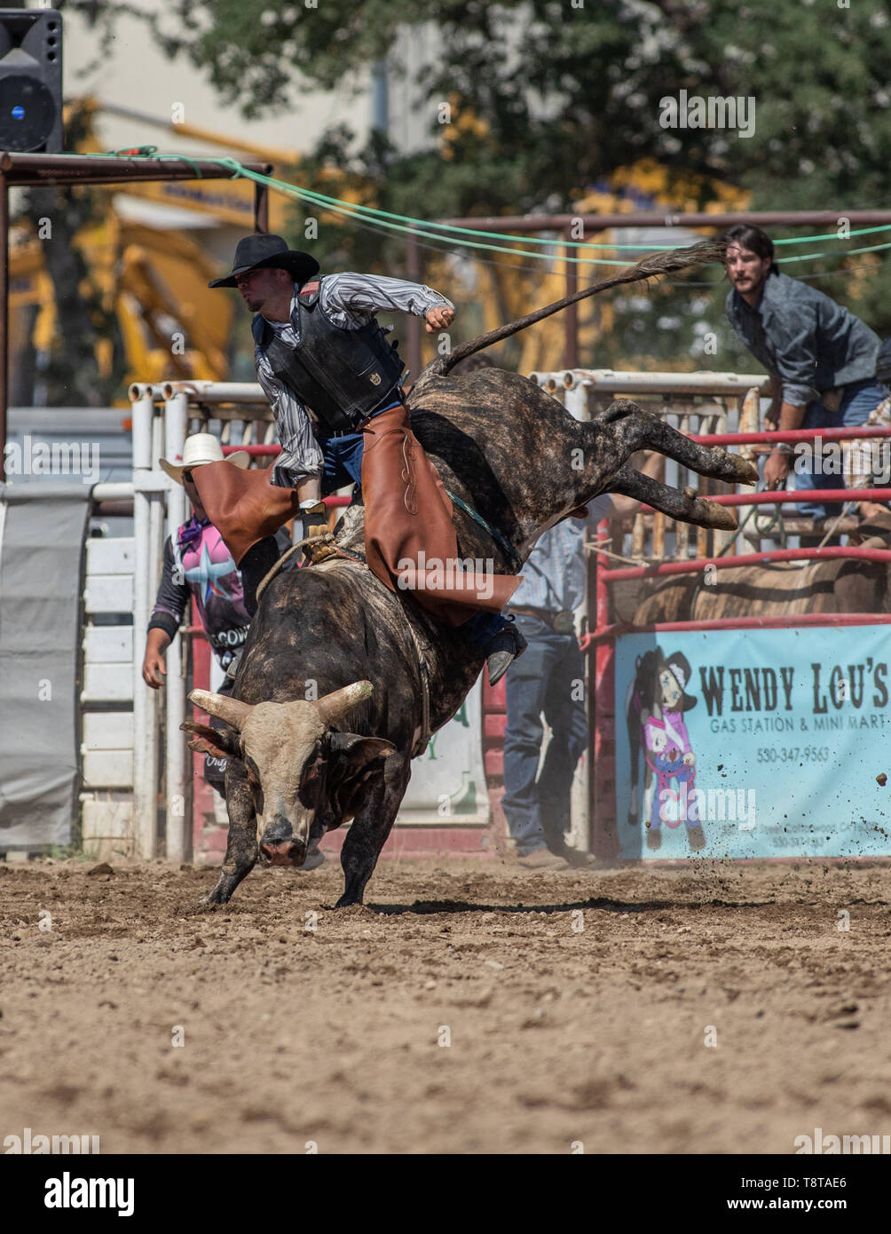 Rodeo action at the Cottonwood Rodeo in Northern California Stock Photo